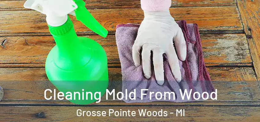  Cleaning Mold From Wood Grosse Pointe Woods - MI