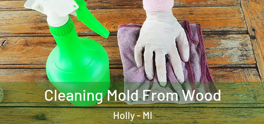  Cleaning Mold From Wood Holly - MI