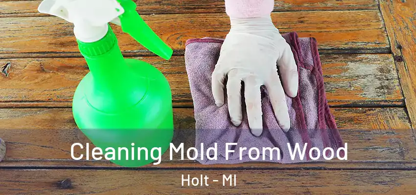  Cleaning Mold From Wood Holt - MI