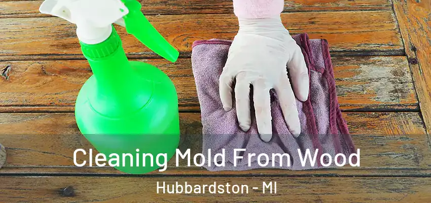  Cleaning Mold From Wood Hubbardston - MI