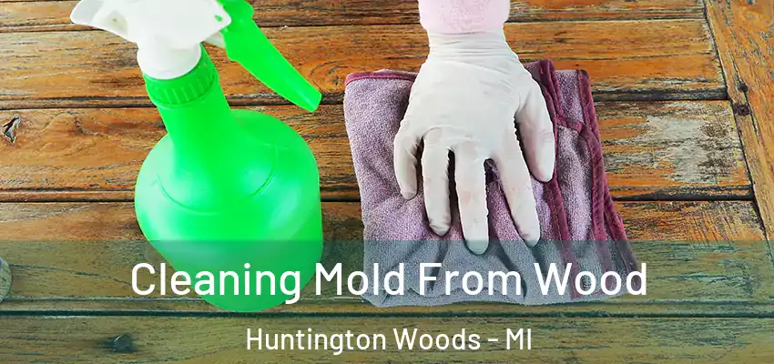  Cleaning Mold From Wood Huntington Woods - MI