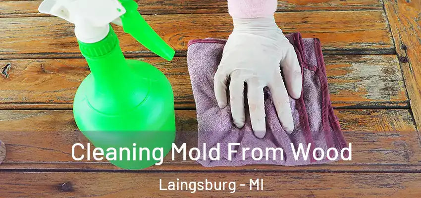  Cleaning Mold From Wood Laingsburg - MI