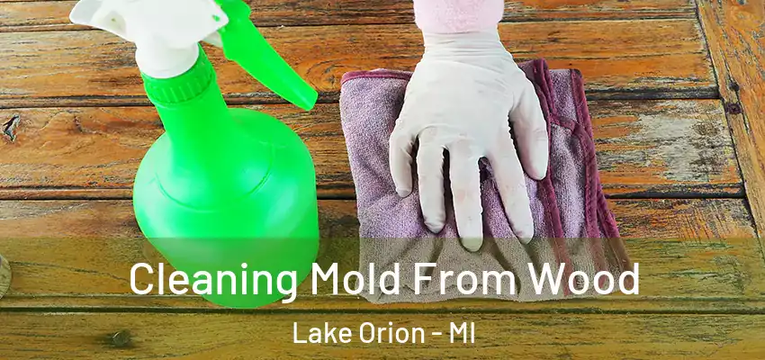  Cleaning Mold From Wood Lake Orion - MI