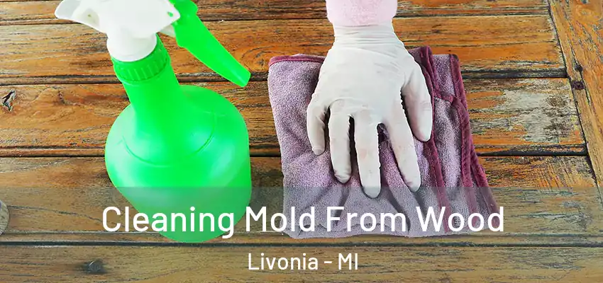  Cleaning Mold From Wood Livonia - MI