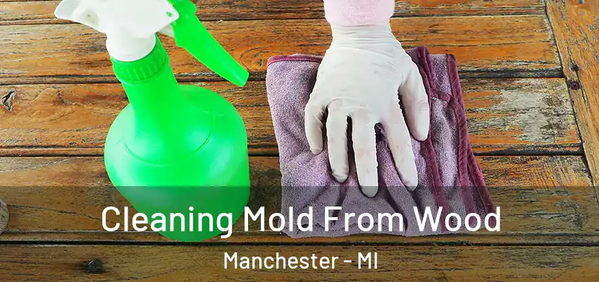  Cleaning Mold From Wood Manchester - MI