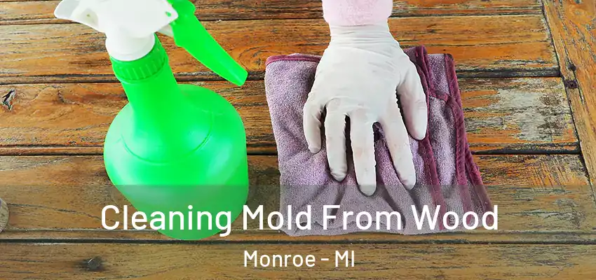  Cleaning Mold From Wood Monroe - MI