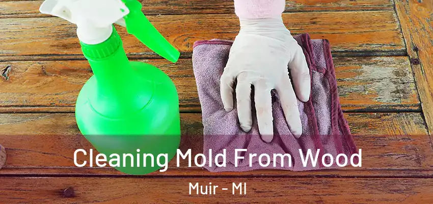  Cleaning Mold From Wood Muir - MI