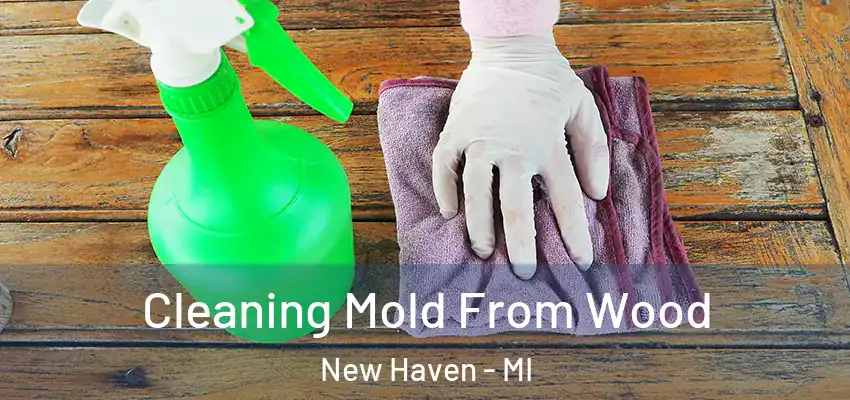 Cleaning Mold From Wood New Haven - MI