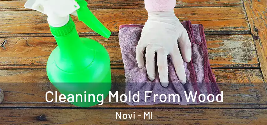 Cleaning Mold From Wood Novi - MI