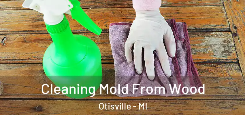  Cleaning Mold From Wood Otisville - MI
