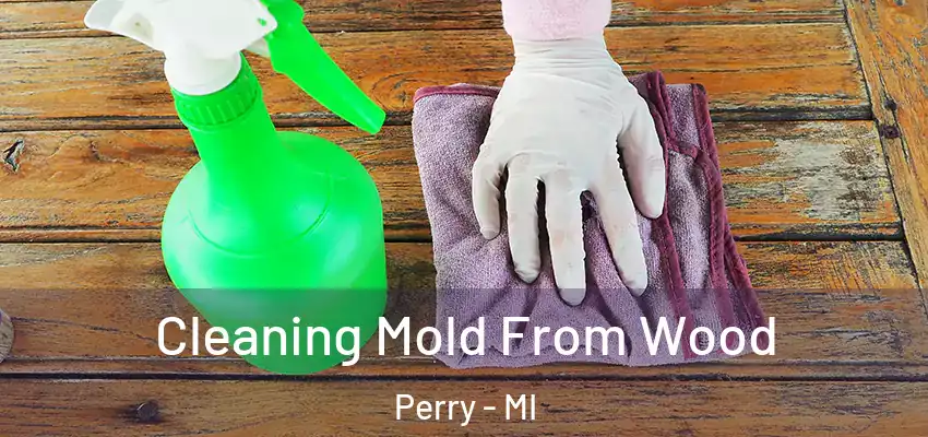  Cleaning Mold From Wood Perry - MI