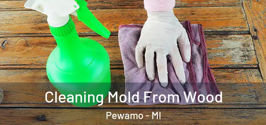  Cleaning Mold From Wood Pewamo - MI