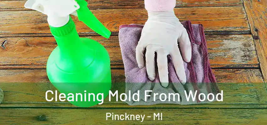 Cleaning Mold From Wood Pinckney - MI