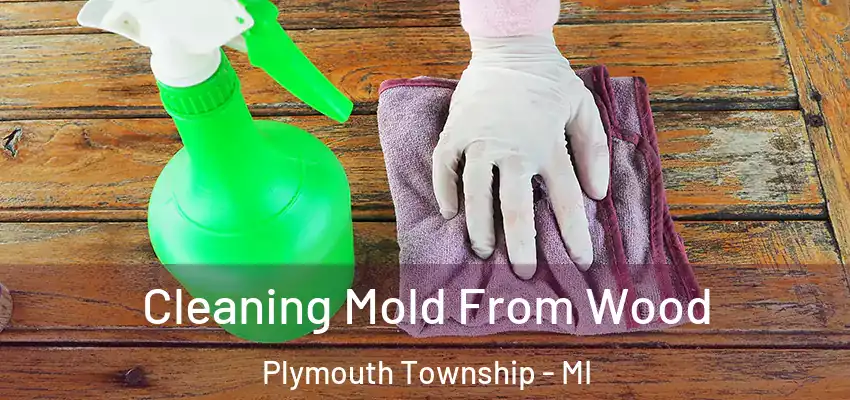  Cleaning Mold From Wood Plymouth Township - MI