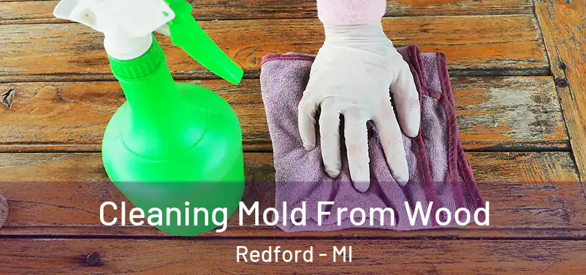 Cleaning Mold From Wood Redford - MI