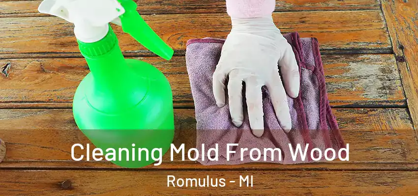  Cleaning Mold From Wood Romulus - MI
