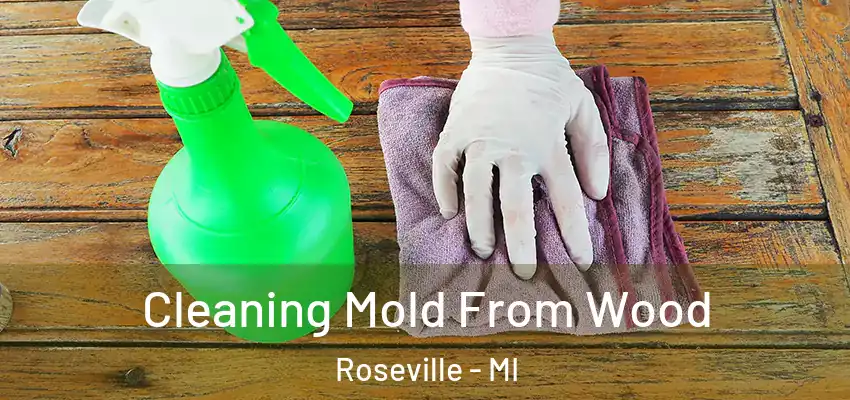  Cleaning Mold From Wood Roseville - MI