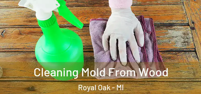  Cleaning Mold From Wood Royal Oak - MI