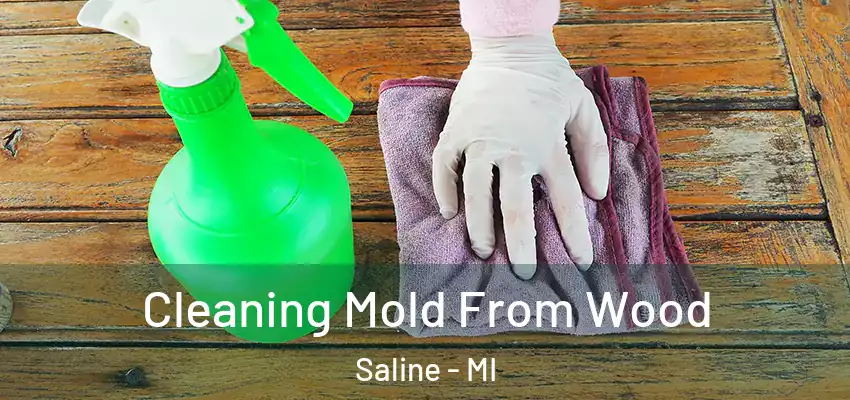 Cleaning Mold From Wood Saline - MI