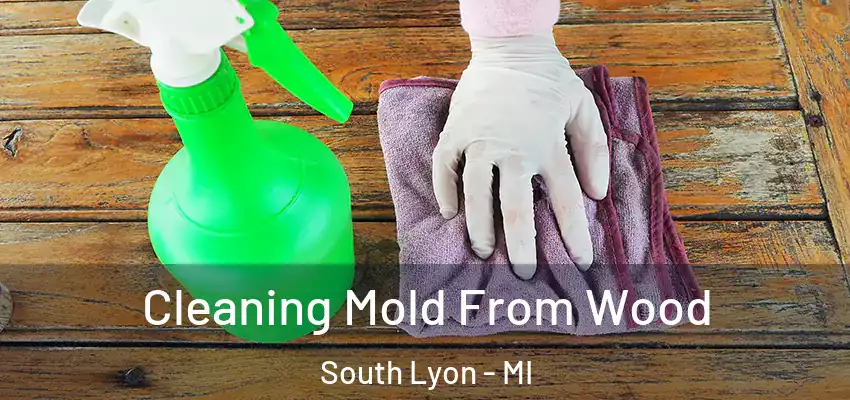  Cleaning Mold From Wood South Lyon - MI