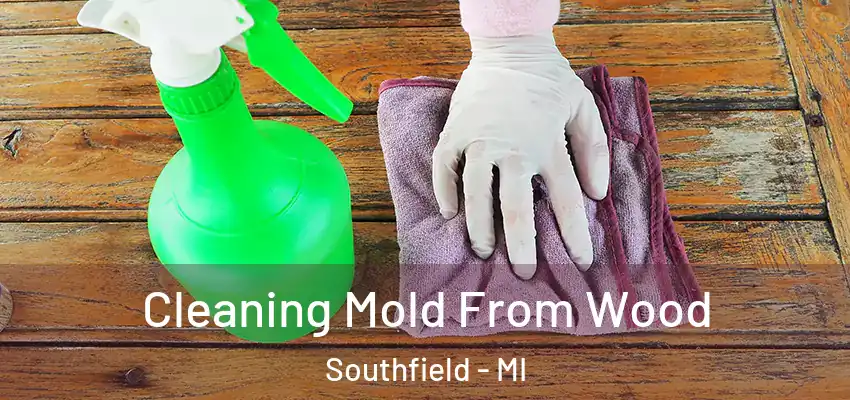  Cleaning Mold From Wood Southfield - MI