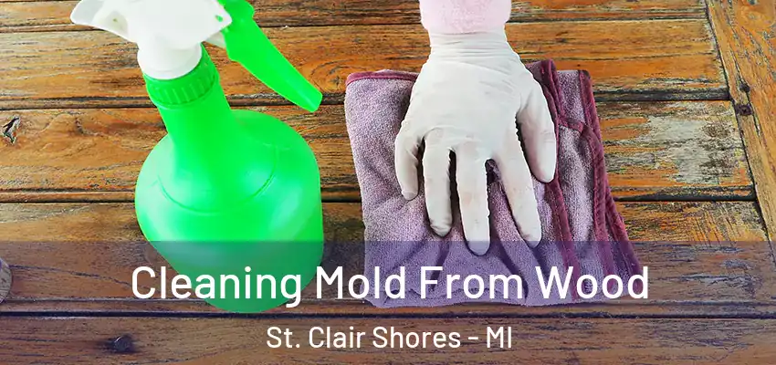  Cleaning Mold From Wood St. Clair Shores - MI