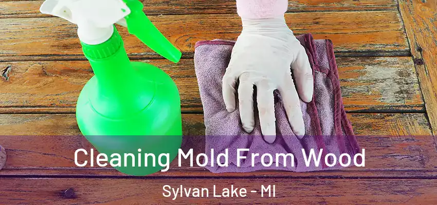  Cleaning Mold From Wood Sylvan Lake - MI