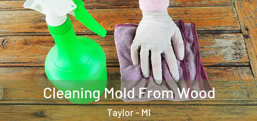  Cleaning Mold From Wood Taylor - MI