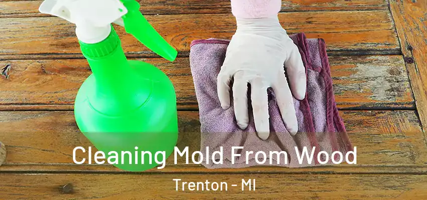  Cleaning Mold From Wood Trenton - MI
