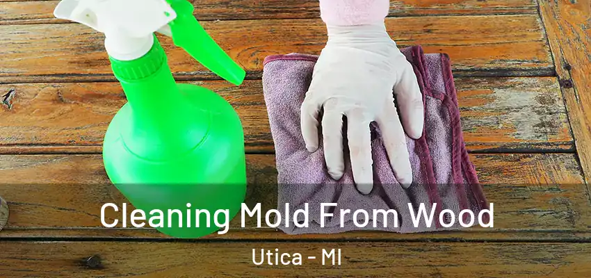  Cleaning Mold From Wood Utica - MI