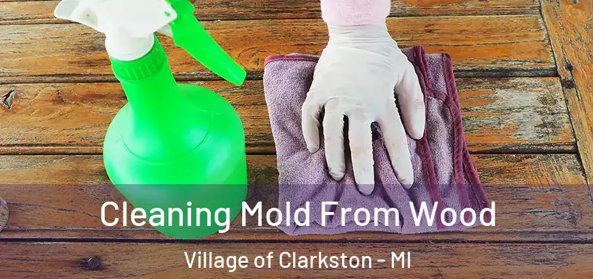  Cleaning Mold From Wood Village of Clarkston - MI
