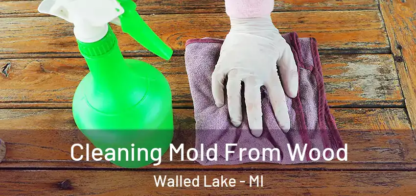  Cleaning Mold From Wood Walled Lake - MI