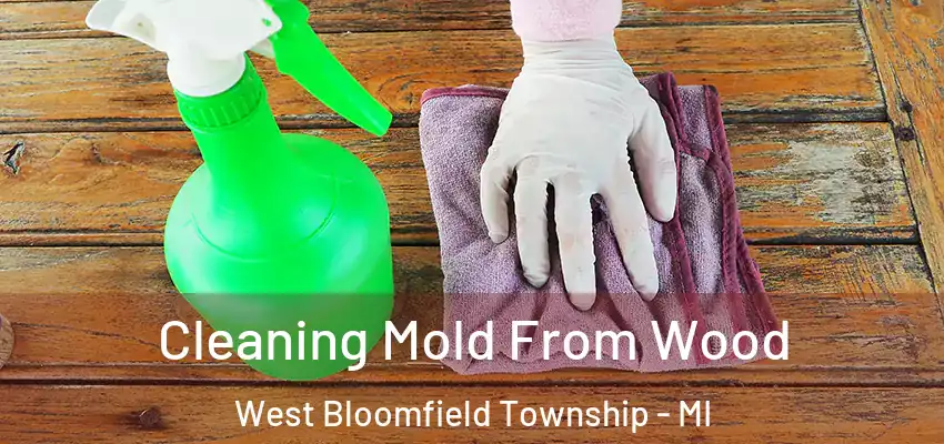  Cleaning Mold From Wood West Bloomfield Township - MI