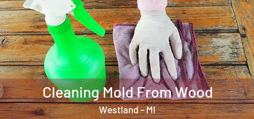  Cleaning Mold From Wood Westland - MI