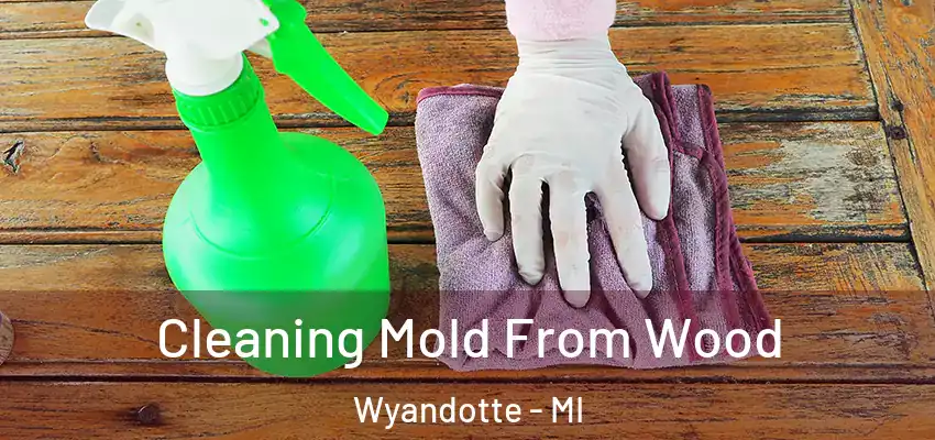  Cleaning Mold From Wood Wyandotte - MI