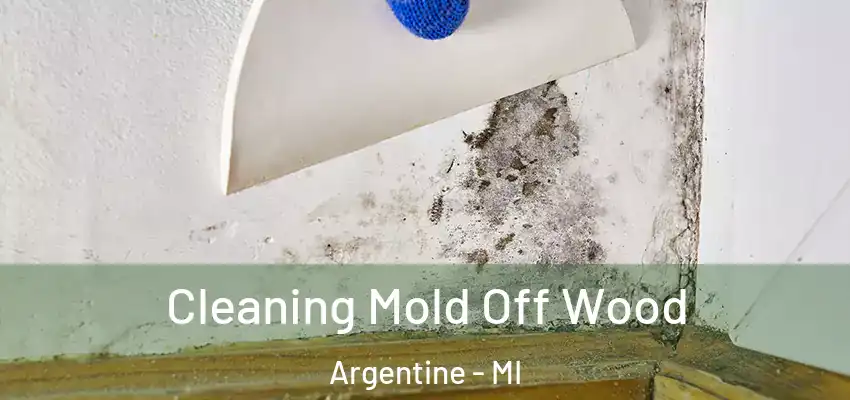 Cleaning Mold Off Wood Argentine - MI