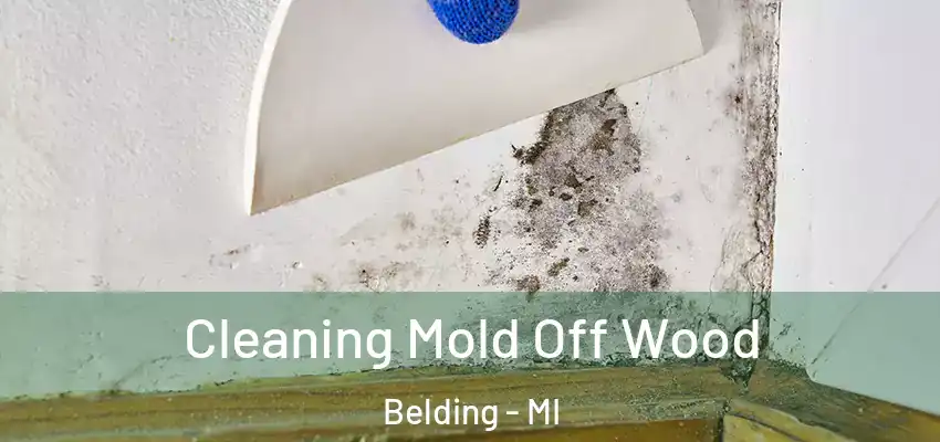  Cleaning Mold Off Wood Belding - MI