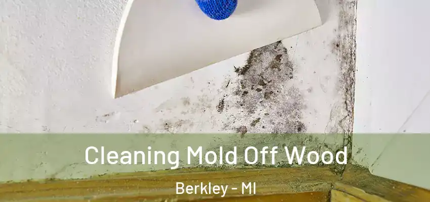 Cleaning Mold Off Wood Berkley - MI