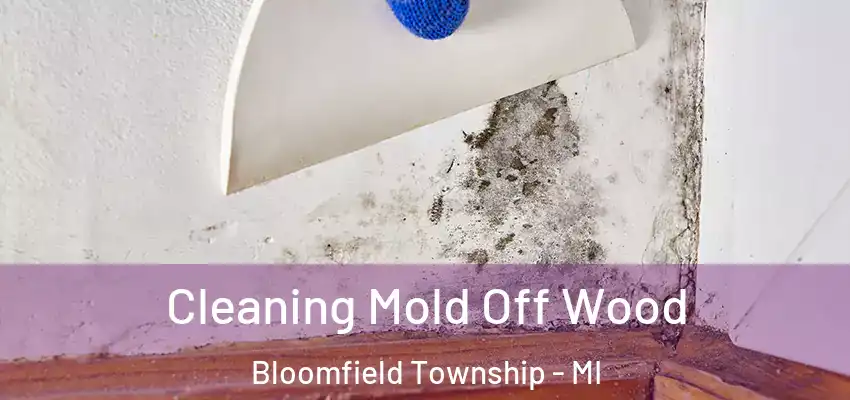 Cleaning Mold Off Wood Bloomfield Township - MI