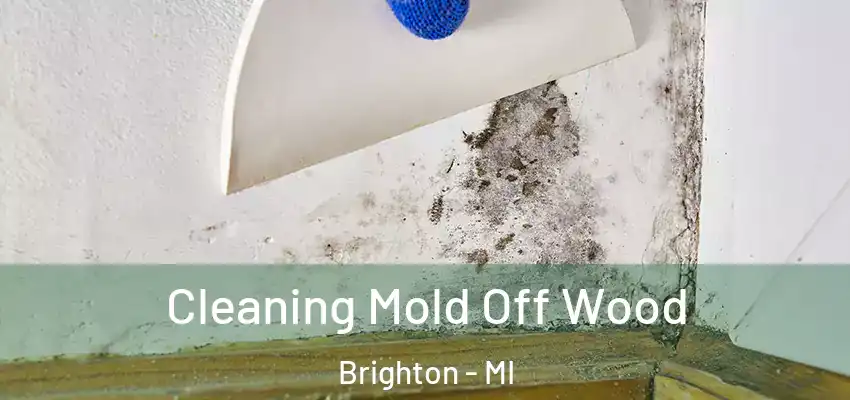 Cleaning Mold Off Wood Brighton - MI