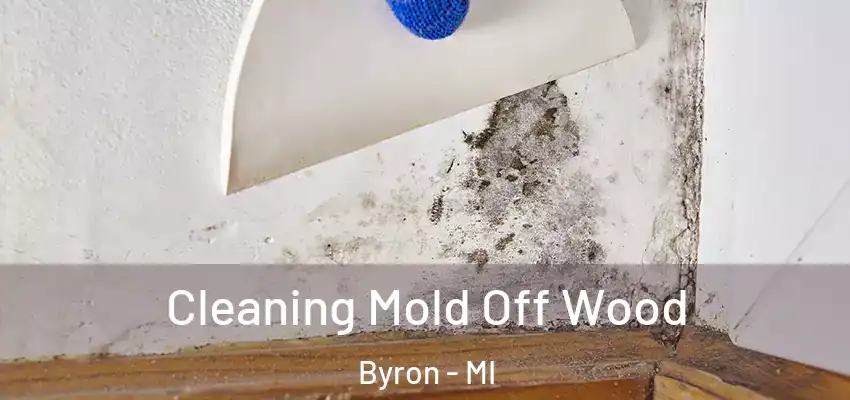  Cleaning Mold Off Wood Byron - MI