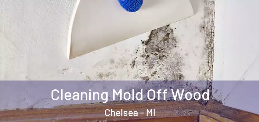  Cleaning Mold Off Wood Chelsea - MI