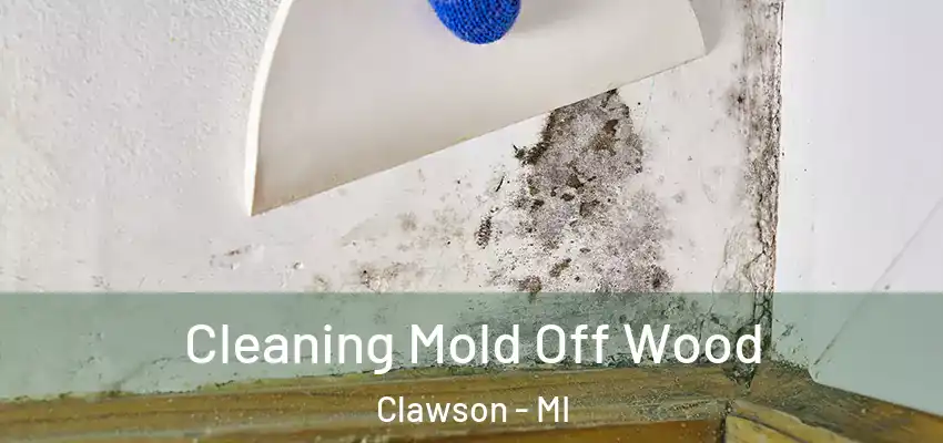 Cleaning Mold Off Wood Clawson - MI
