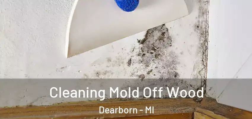  Cleaning Mold Off Wood Dearborn - MI