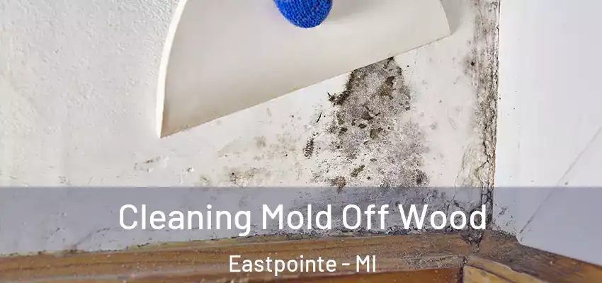 Cleaning Mold Off Wood Eastpointe - MI