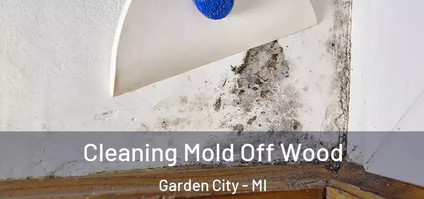  Cleaning Mold Off Wood Garden City - MI