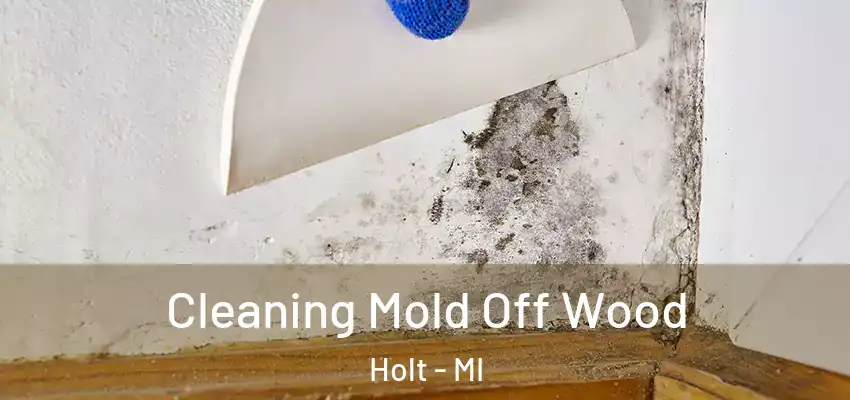  Cleaning Mold Off Wood Holt - MI