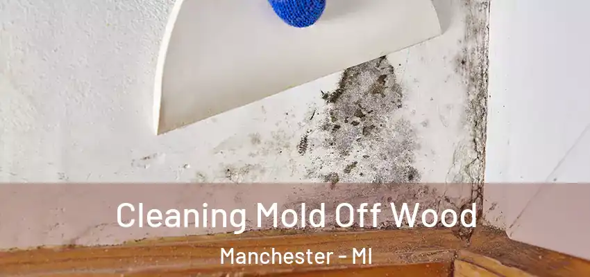  Cleaning Mold Off Wood Manchester - MI