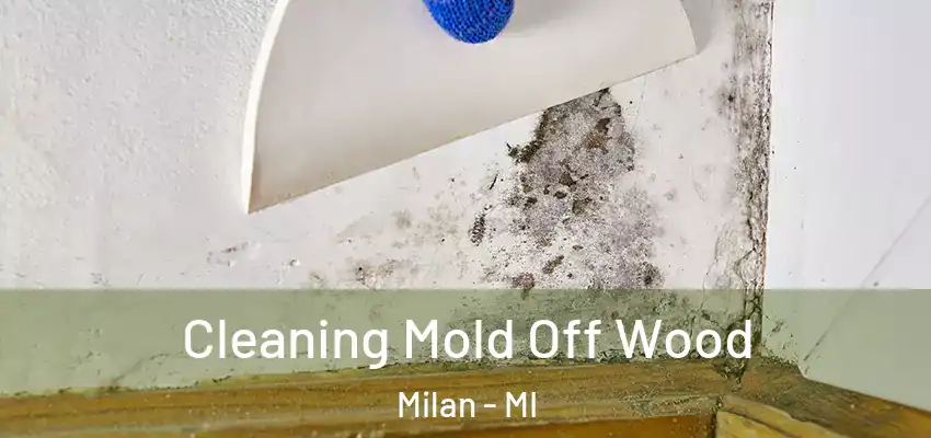 Cleaning Mold Off Wood Milan - MI