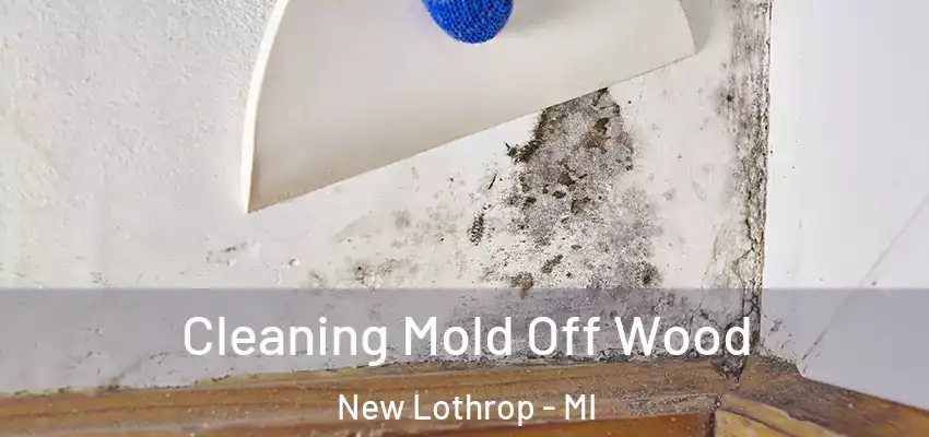  Cleaning Mold Off Wood New Lothrop - MI